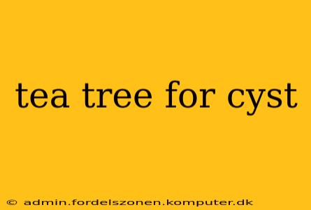 tea tree for cyst