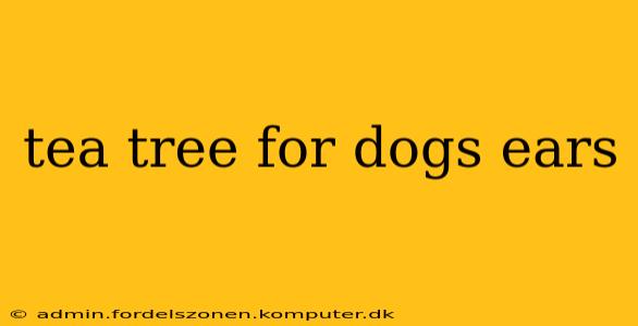 tea tree for dogs ears