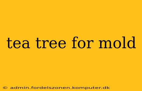 tea tree for mold