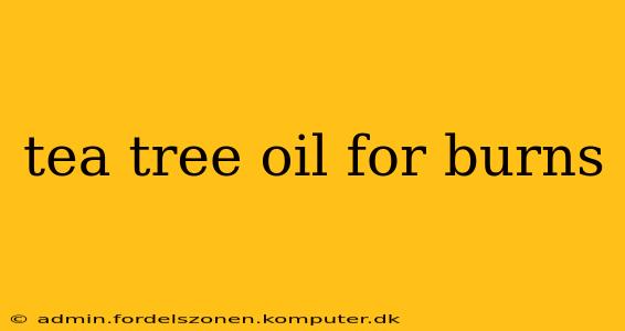 tea tree oil for burns