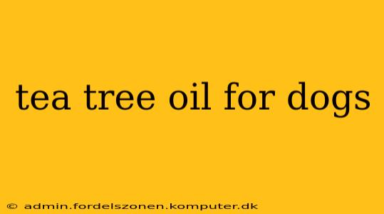 tea tree oil for dogs