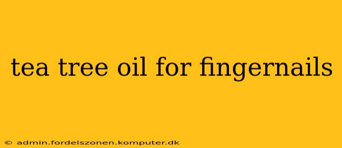tea tree oil for fingernails