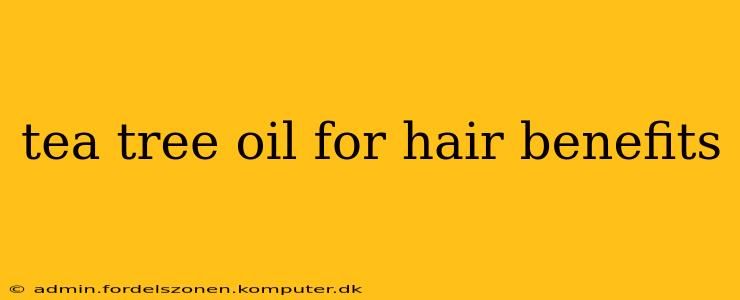 tea tree oil for hair benefits
