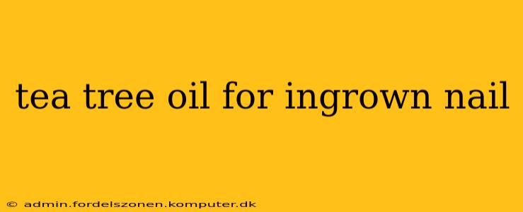 tea tree oil for ingrown nail