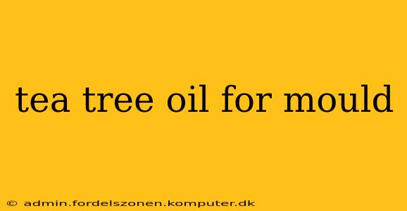 tea tree oil for mould