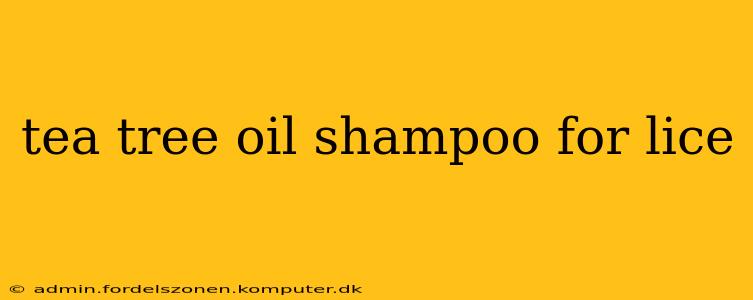 tea tree oil shampoo for lice