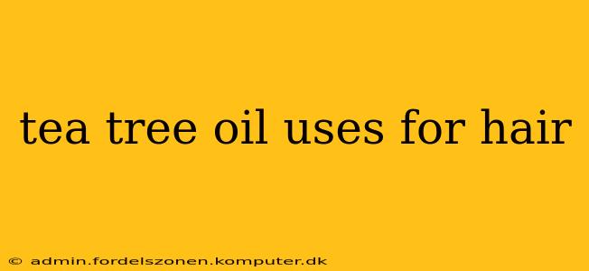 tea tree oil uses for hair