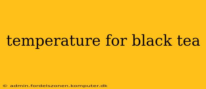 temperature for black tea