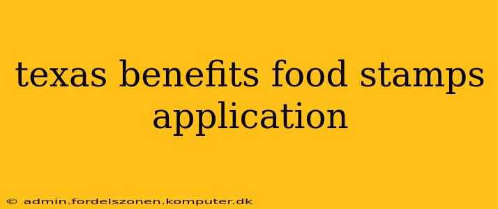 texas benefits food stamps application
