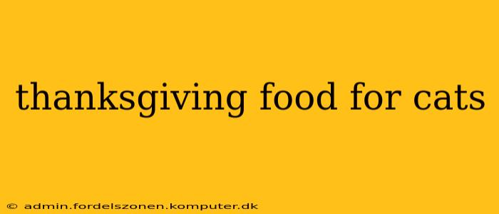 thanksgiving food for cats