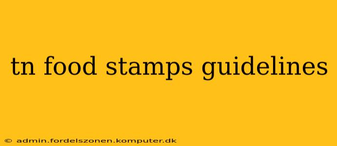 tn food stamps guidelines