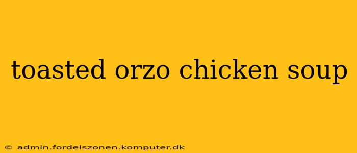 toasted orzo chicken soup