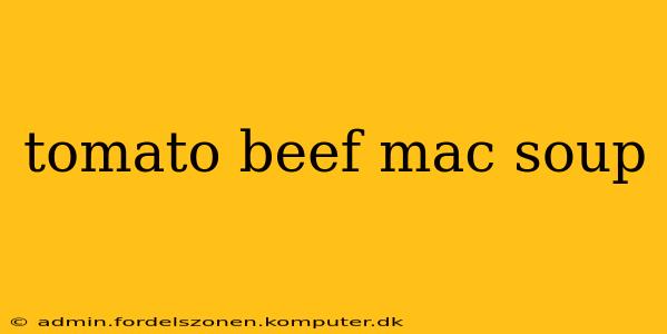 tomato beef mac soup
