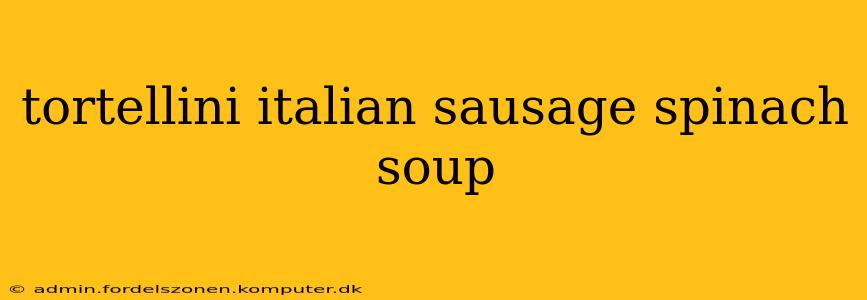 tortellini italian sausage spinach soup