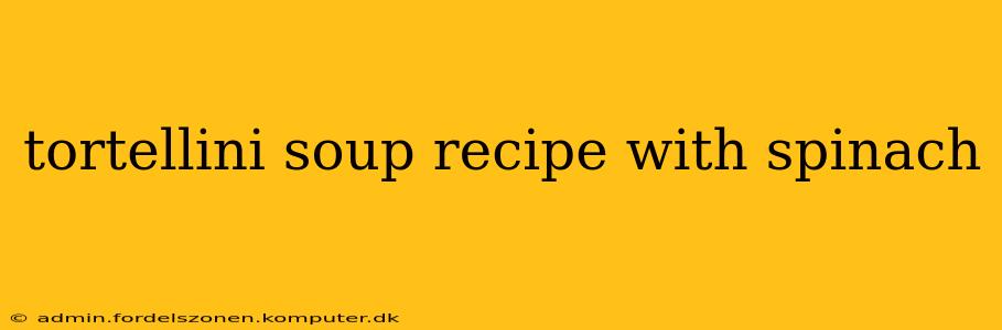 tortellini soup recipe with spinach