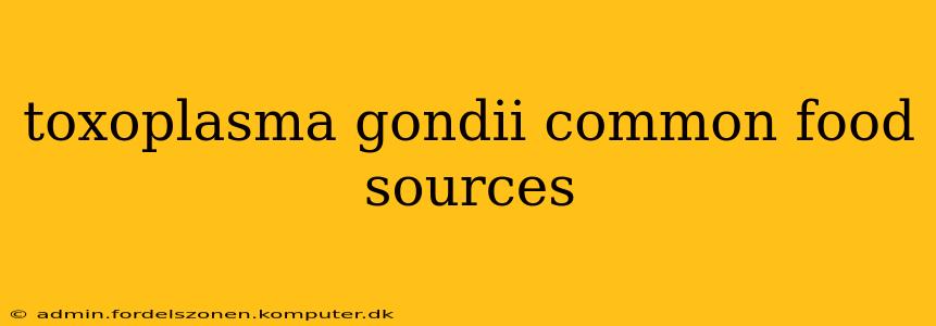 toxoplasma gondii common food sources