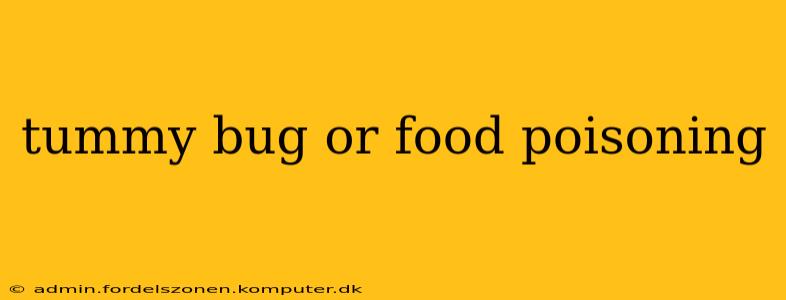 tummy bug or food poisoning