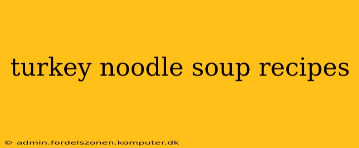turkey noodle soup recipes
