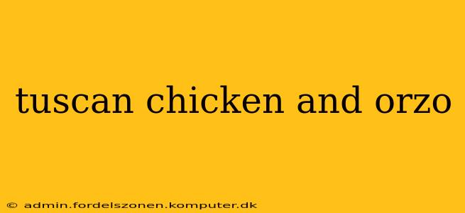tuscan chicken and orzo