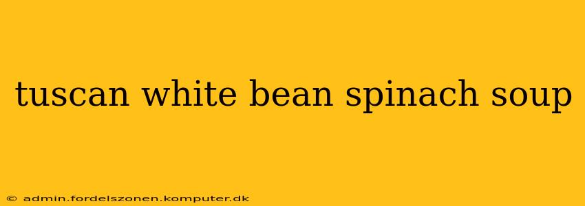 tuscan white bean spinach soup