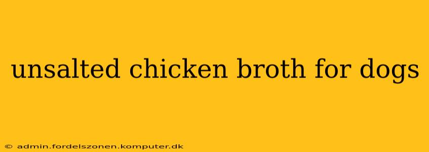 unsalted chicken broth for dogs