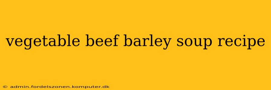 vegetable beef barley soup recipe