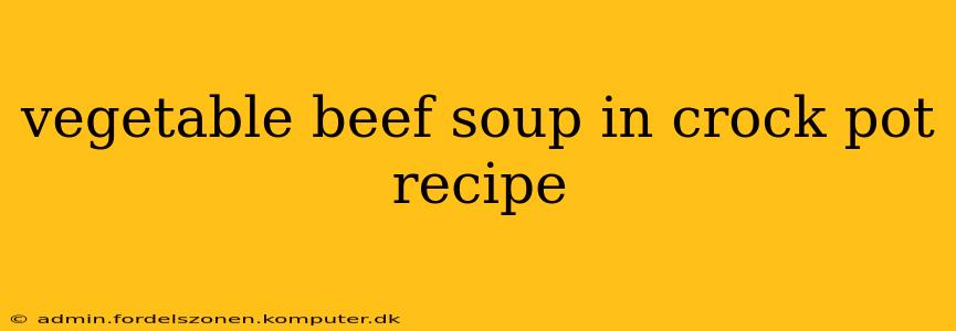vegetable beef soup in crock pot recipe