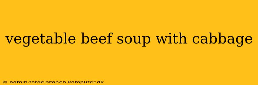 vegetable beef soup with cabbage