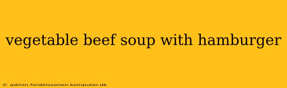 vegetable beef soup with hamburger