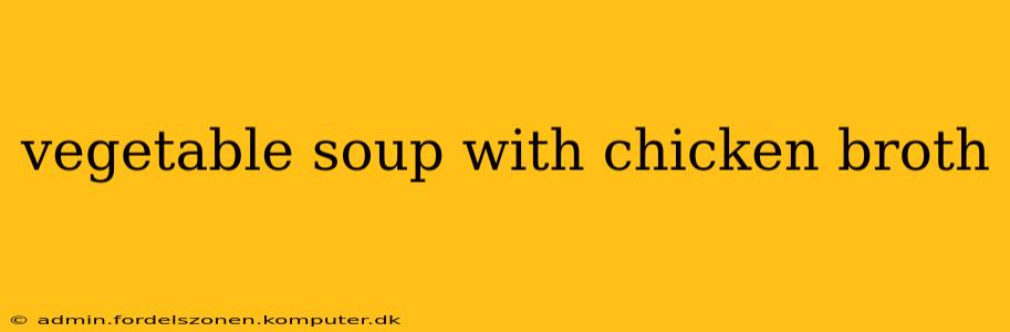 vegetable soup with chicken broth