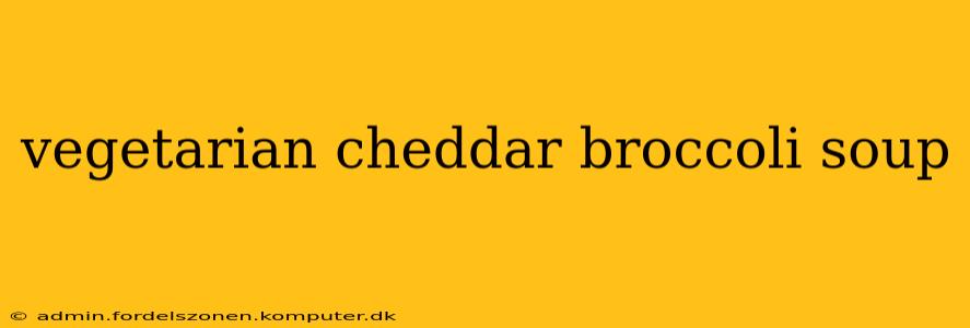 vegetarian cheddar broccoli soup
