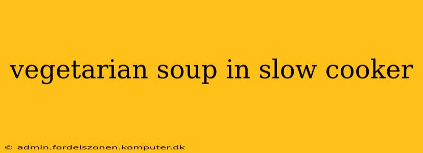 vegetarian soup in slow cooker