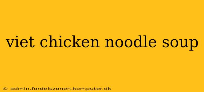 viet chicken noodle soup