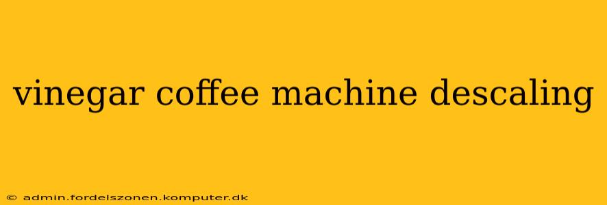 vinegar coffee machine descaling