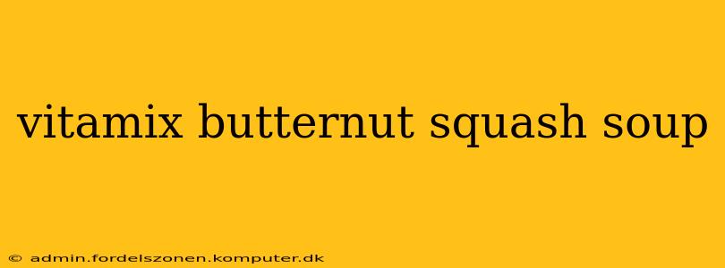vitamix butternut squash soup