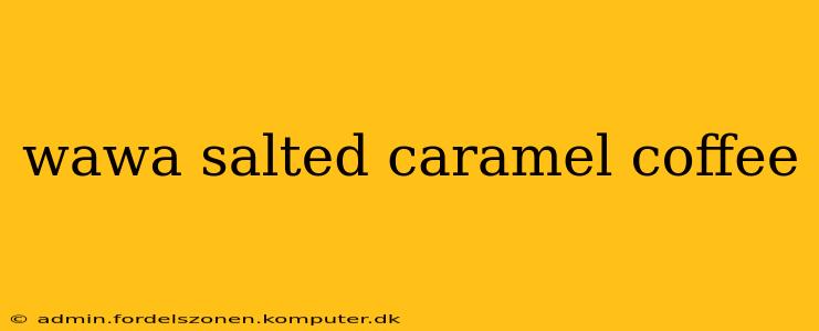wawa salted caramel coffee