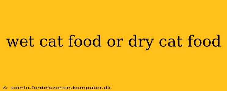 wet cat food or dry cat food