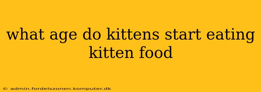 what age do kittens start eating kitten food