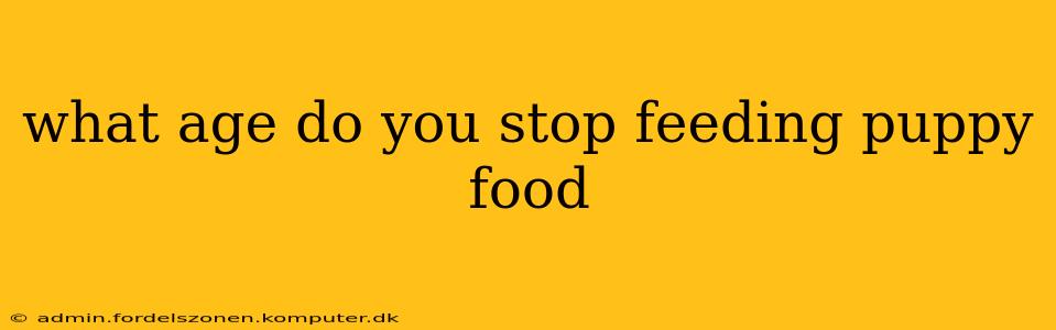 what age do you stop feeding puppy food