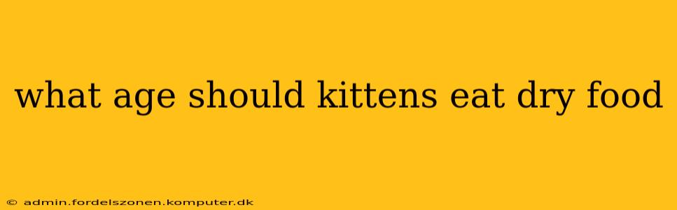 what age should kittens eat dry food