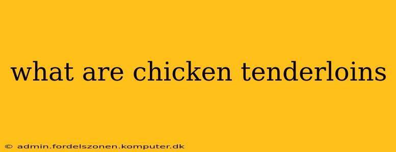 what are chicken tenderloins