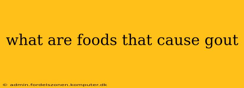 what are foods that cause gout