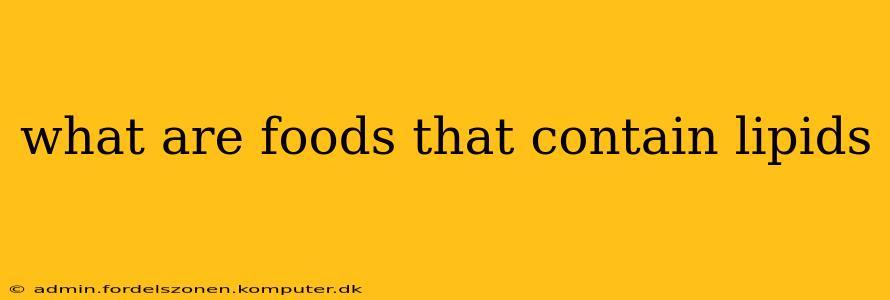 what are foods that contain lipids