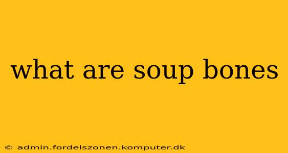 what are soup bones