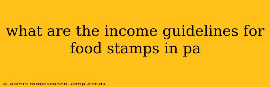 what are the income guidelines for food stamps in pa