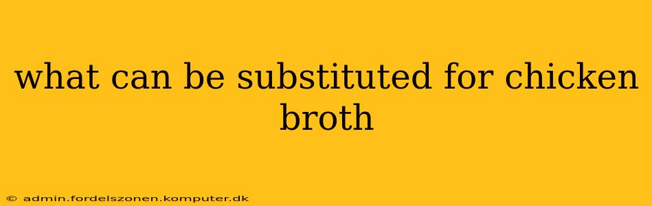 what can be substituted for chicken broth