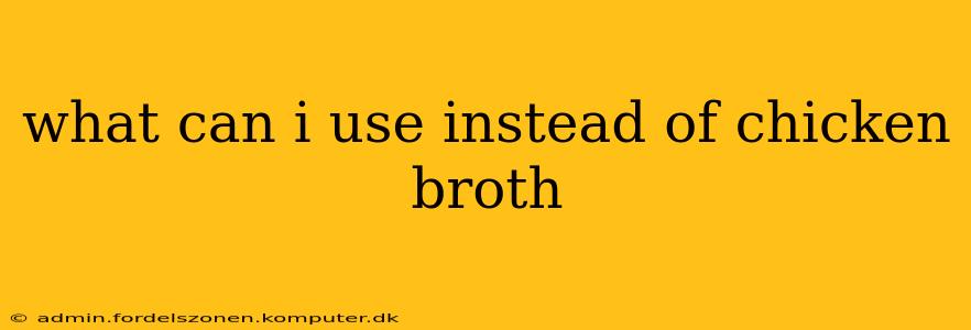 what can i use instead of chicken broth