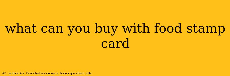 what can you buy with food stamp card