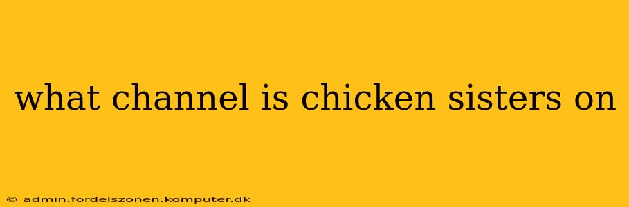 what channel is chicken sisters on