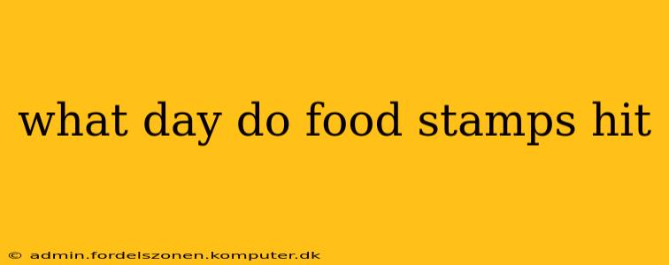 what day do food stamps hit